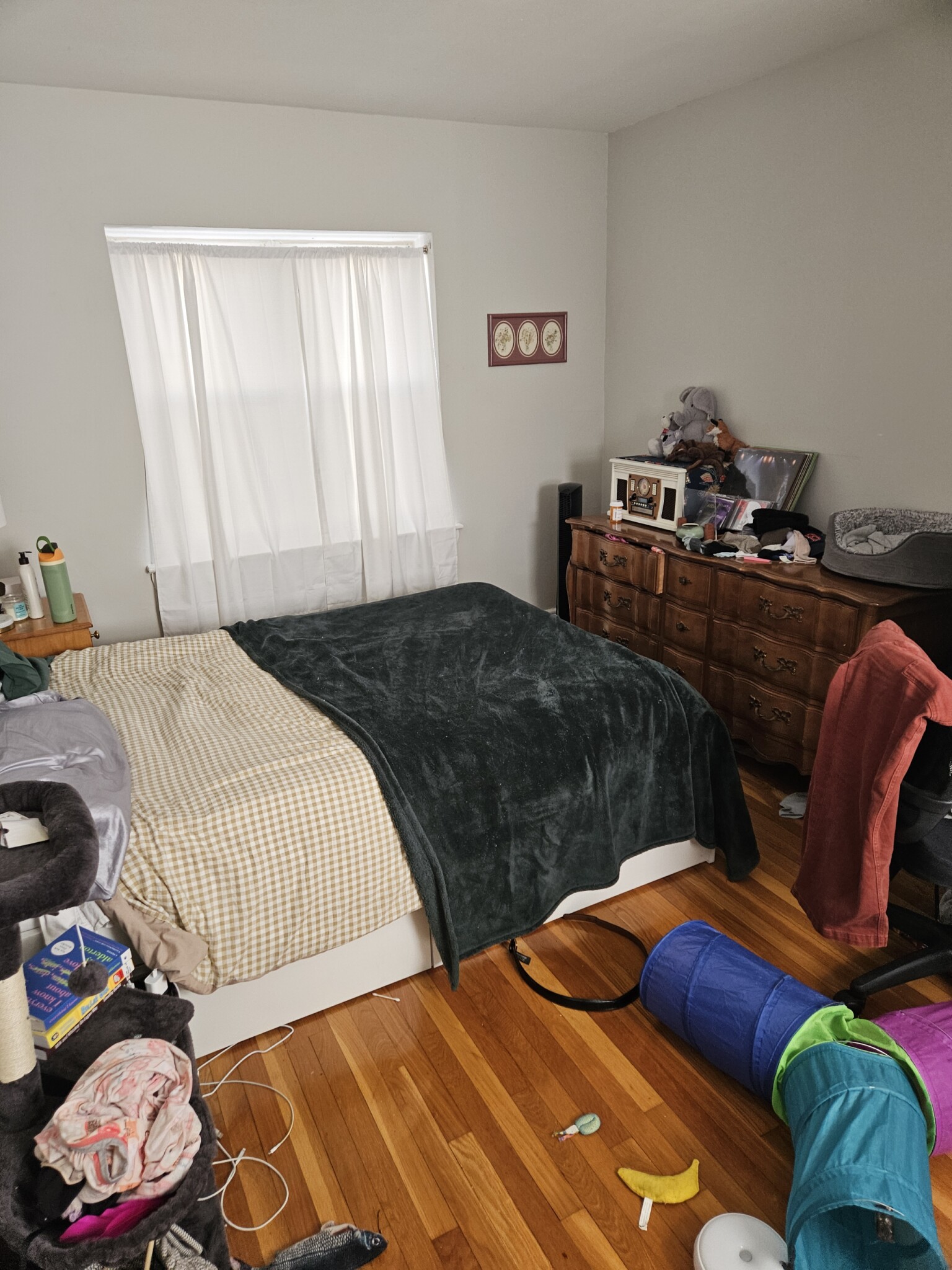 69 Chiswick Rd, Brighton