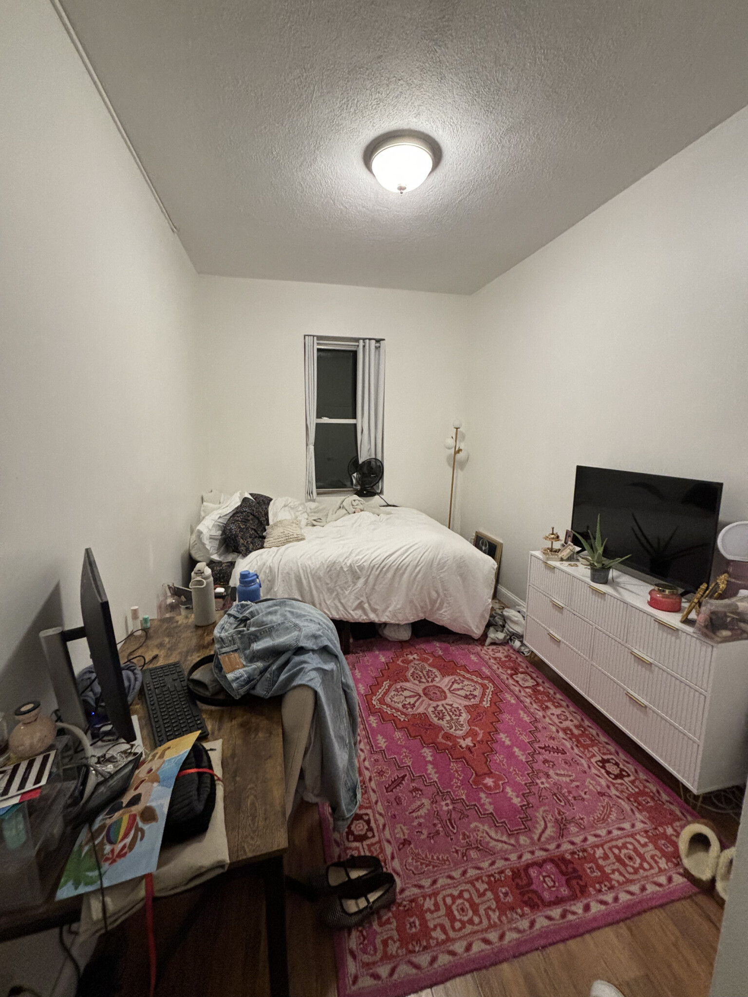 111 Norway St, Fenway