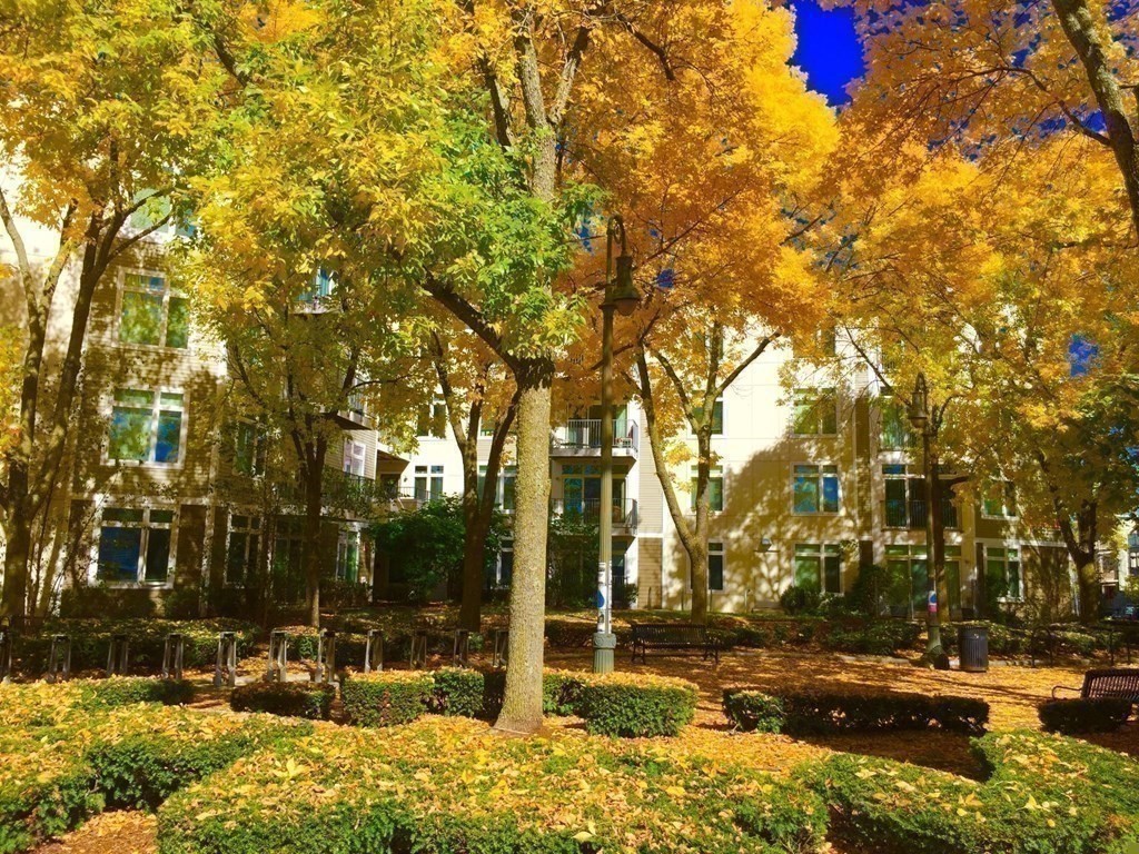 7 Cameron Ave, North Cambridge