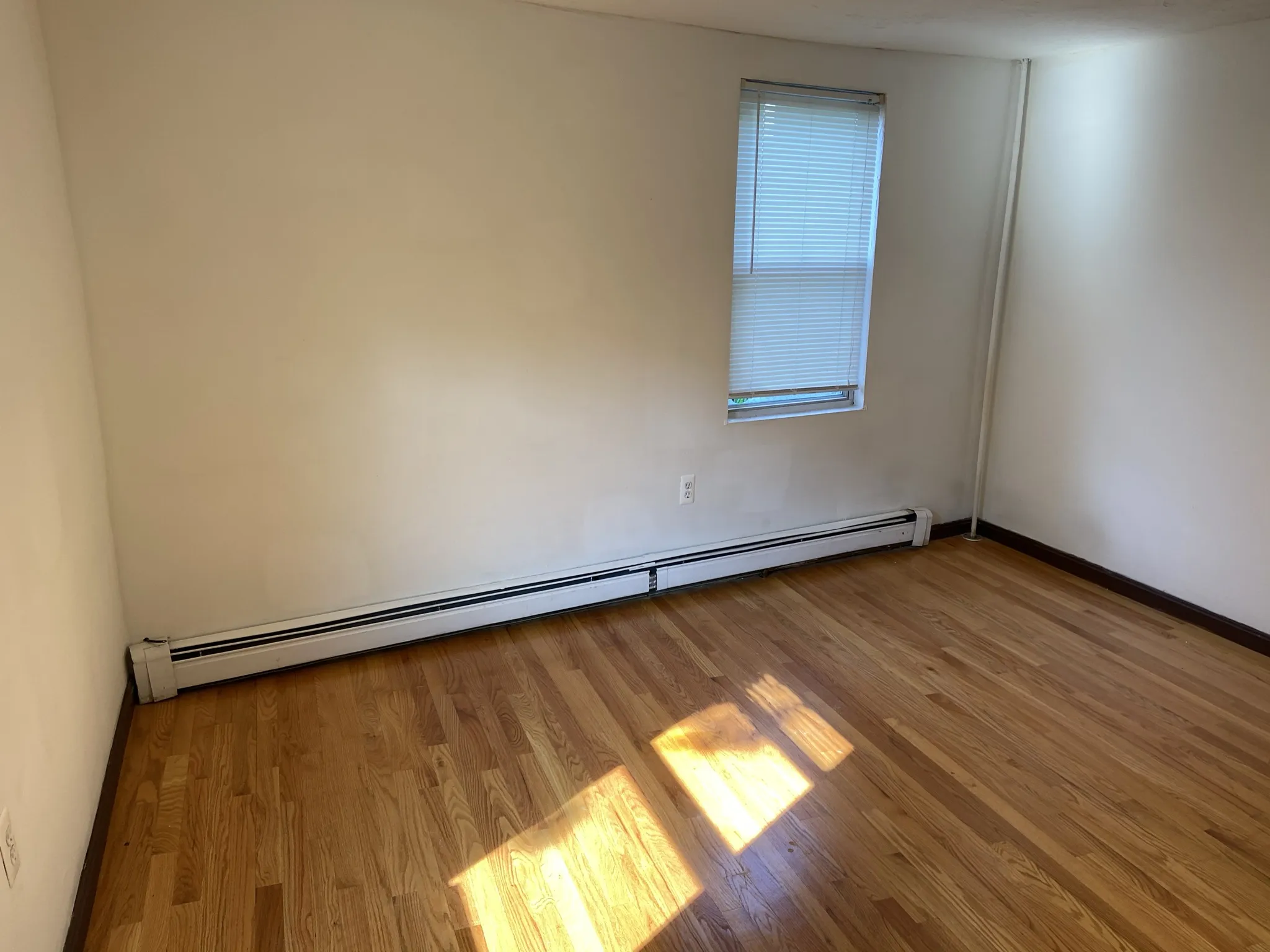 8 Shepard St, Brighton