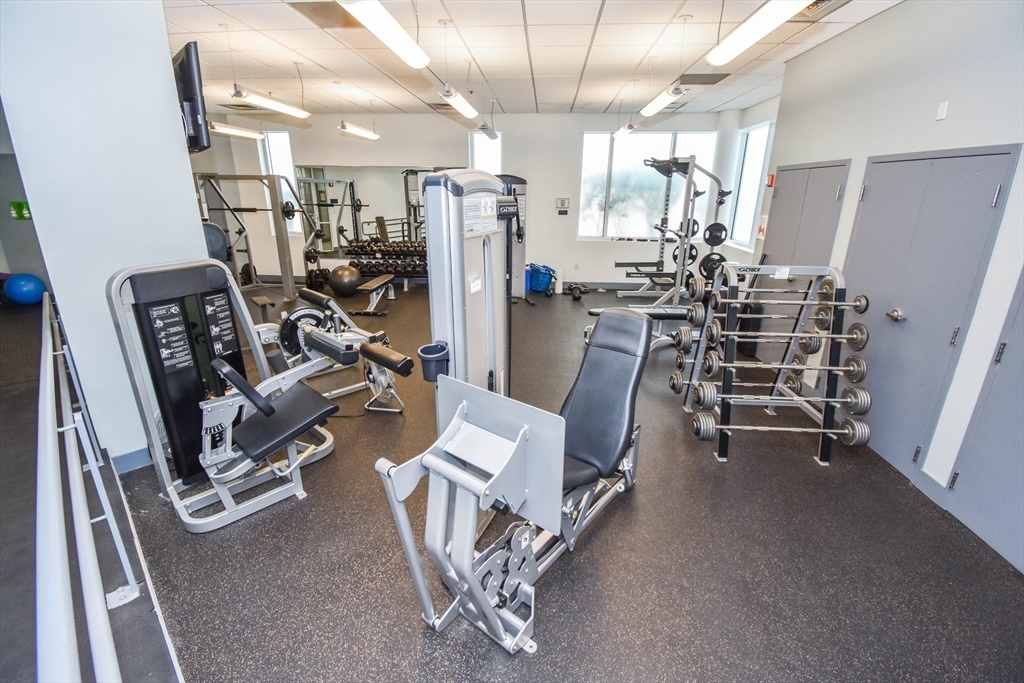 10 Museum Way, East Cambridge