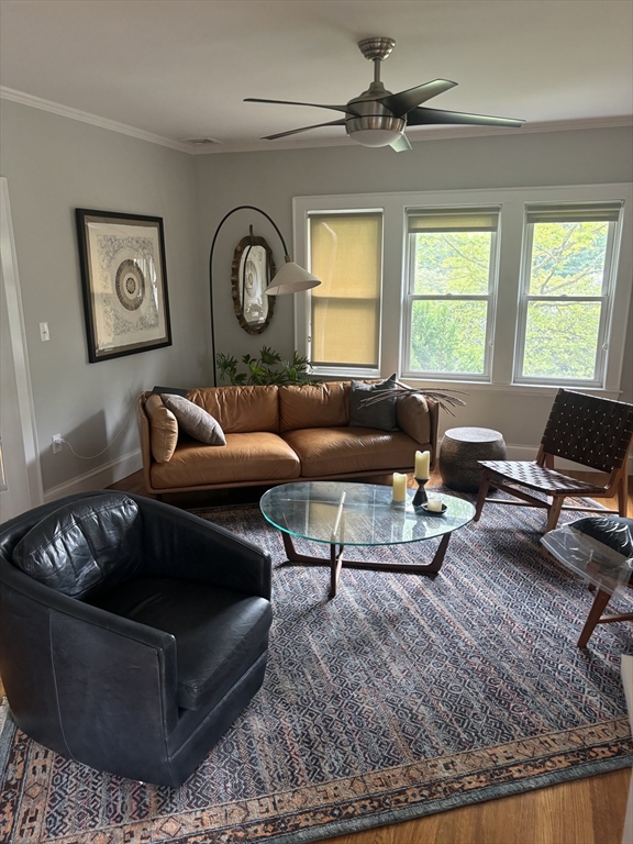 569 Commonwealth Ave, Newton