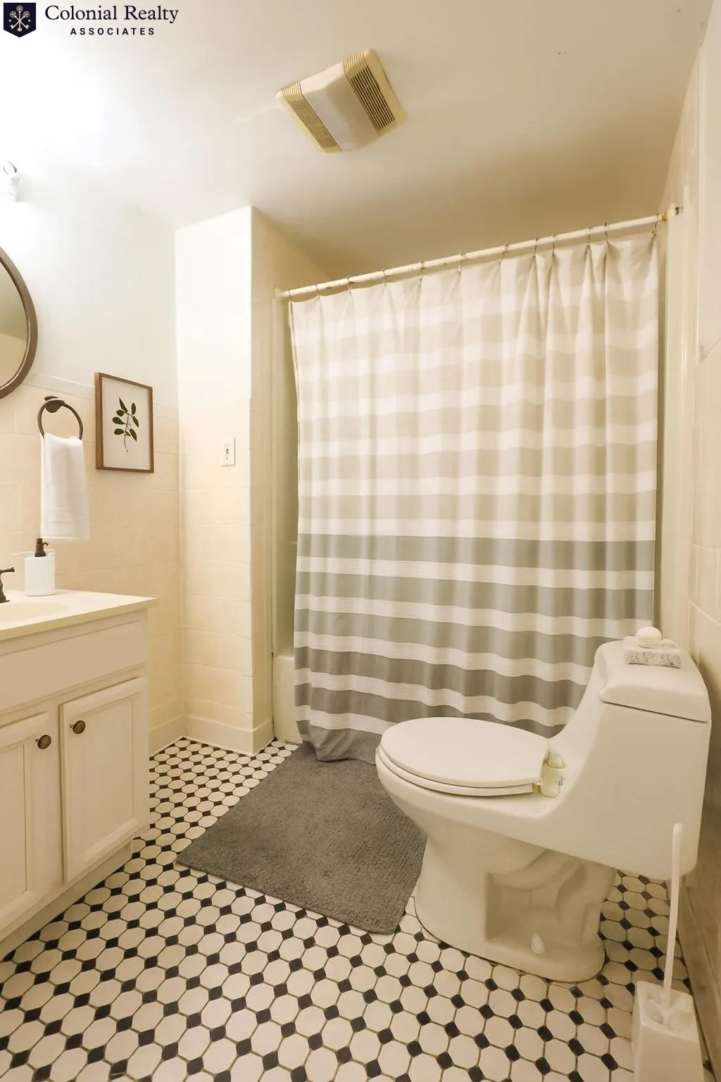 56 Egmont St, North Brookline