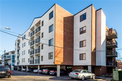 16 Elmer St, Riverside