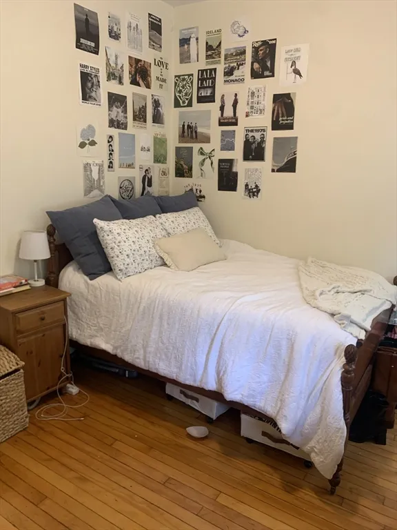 316 Saint Paul St, North Brookline