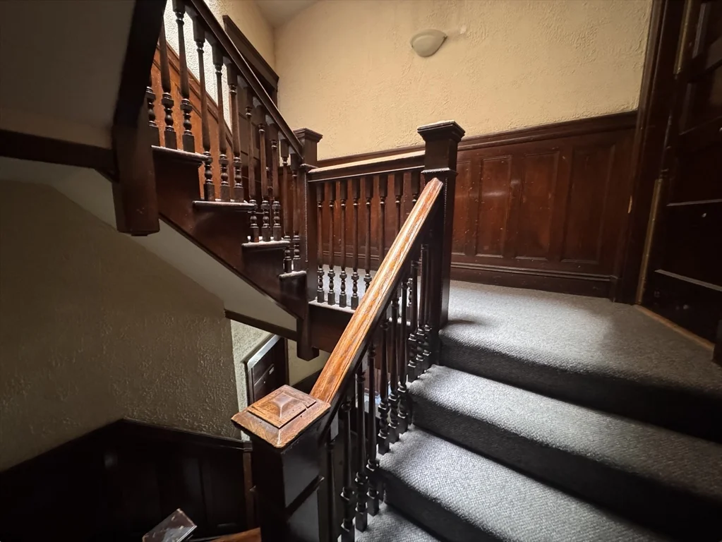 36 Orkney Rd, Brighton