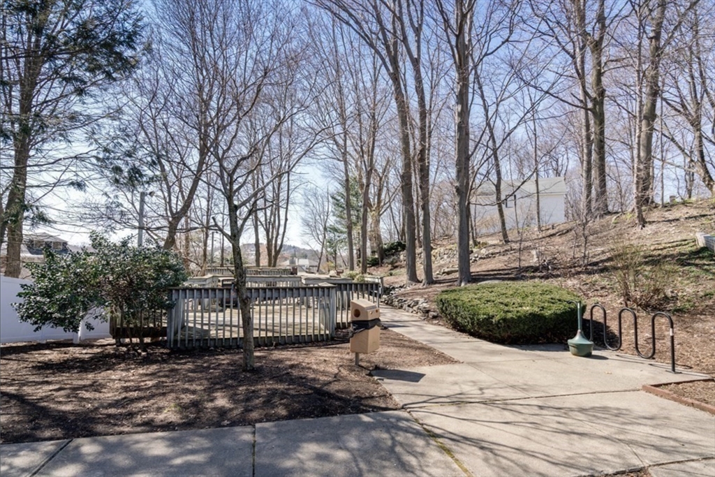 99 Chestnut Hill Ave, Brighton