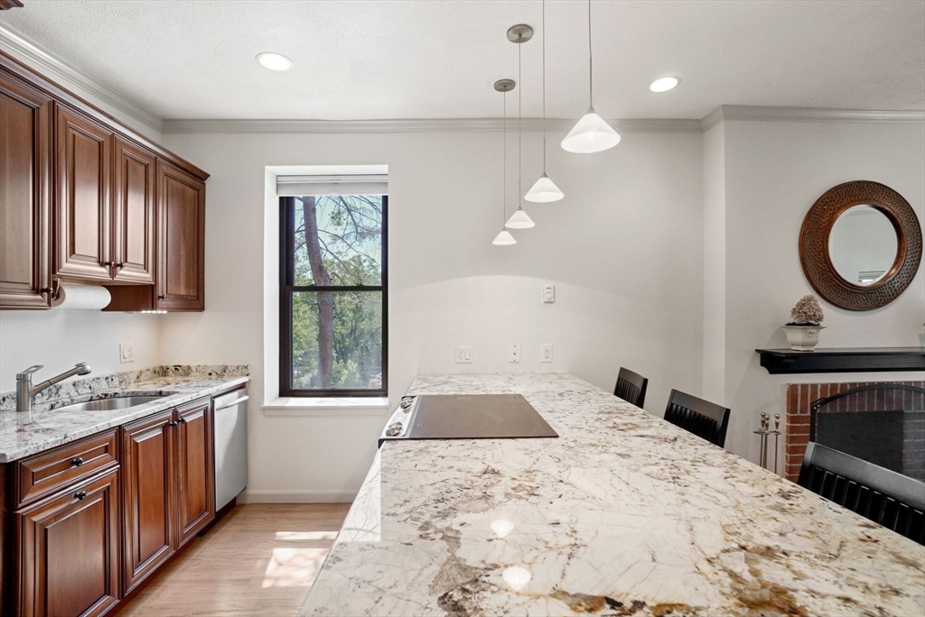 231 West Newton, Back Bay