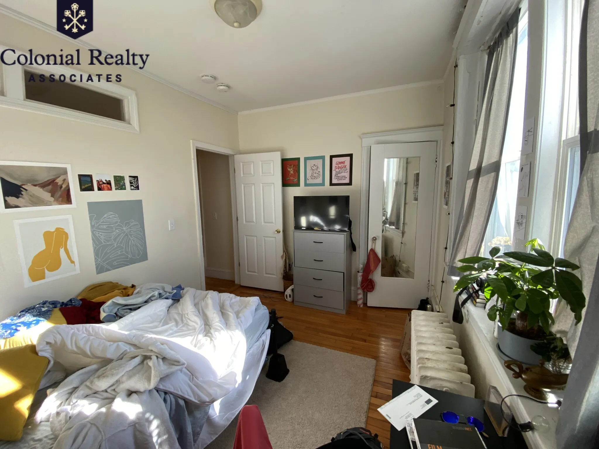 62 Egmont St, North Brookline