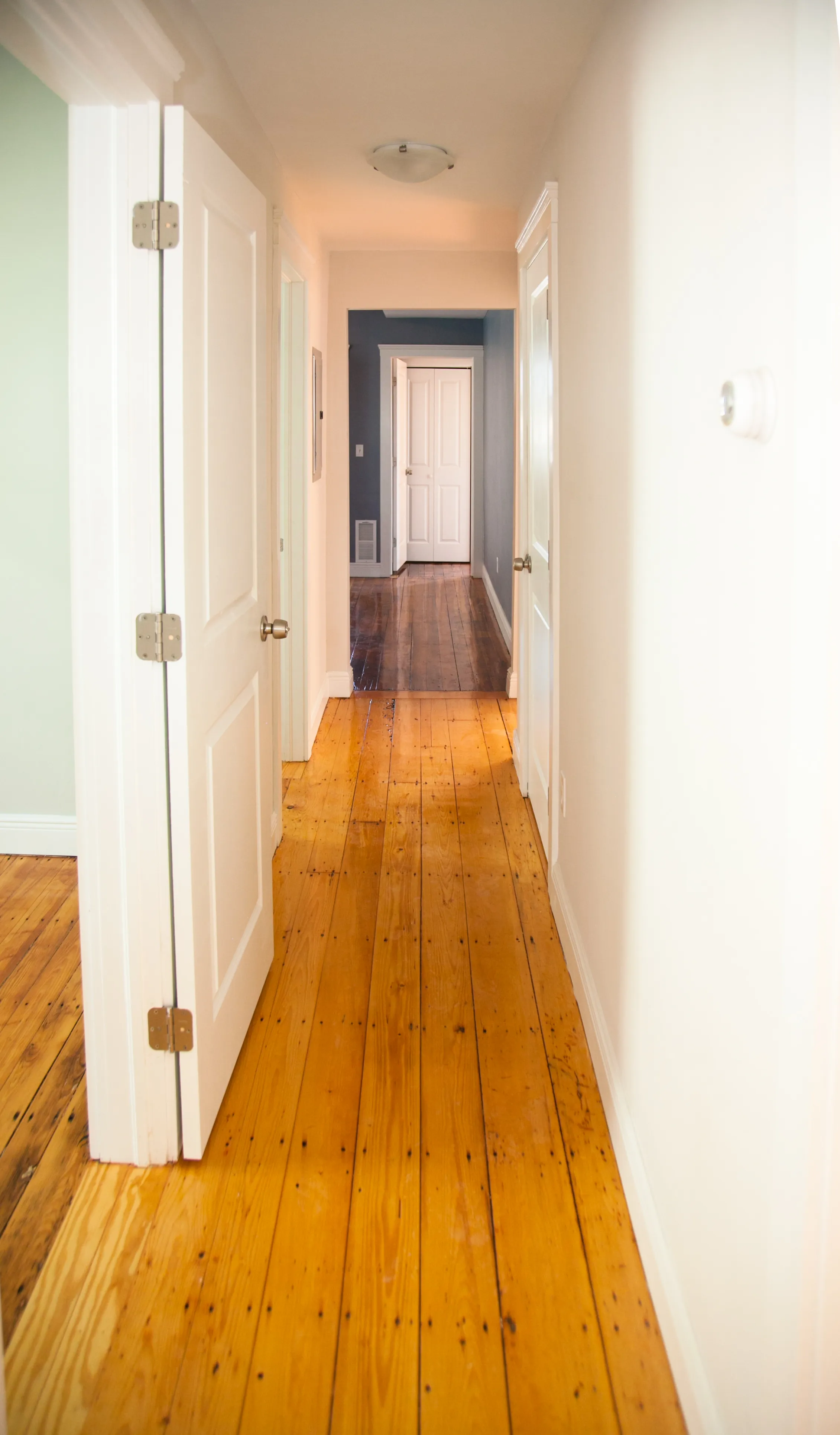 376 Prospect St, Wellington-Harrington