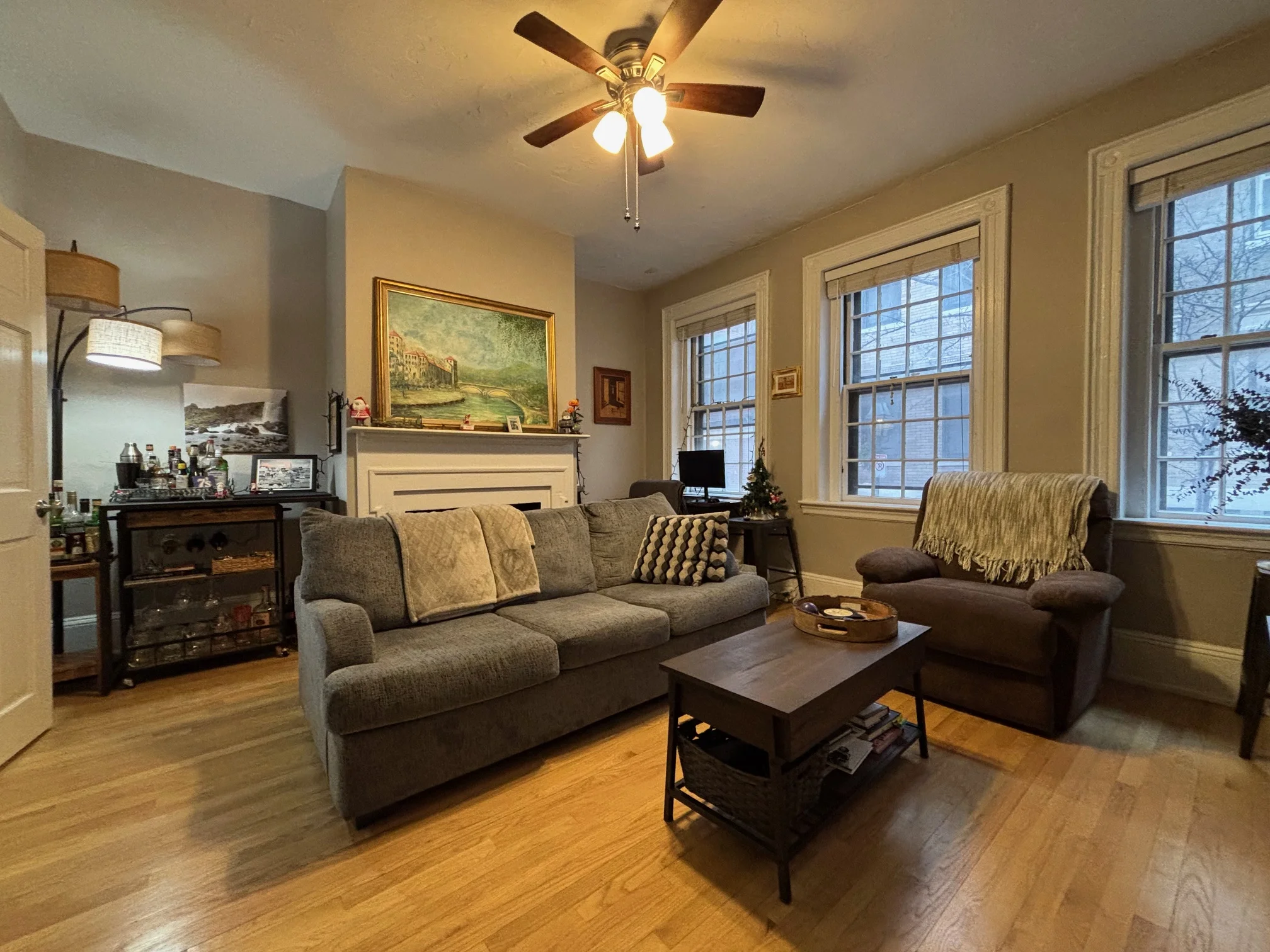 99 Myrtle St, Beacon Hill