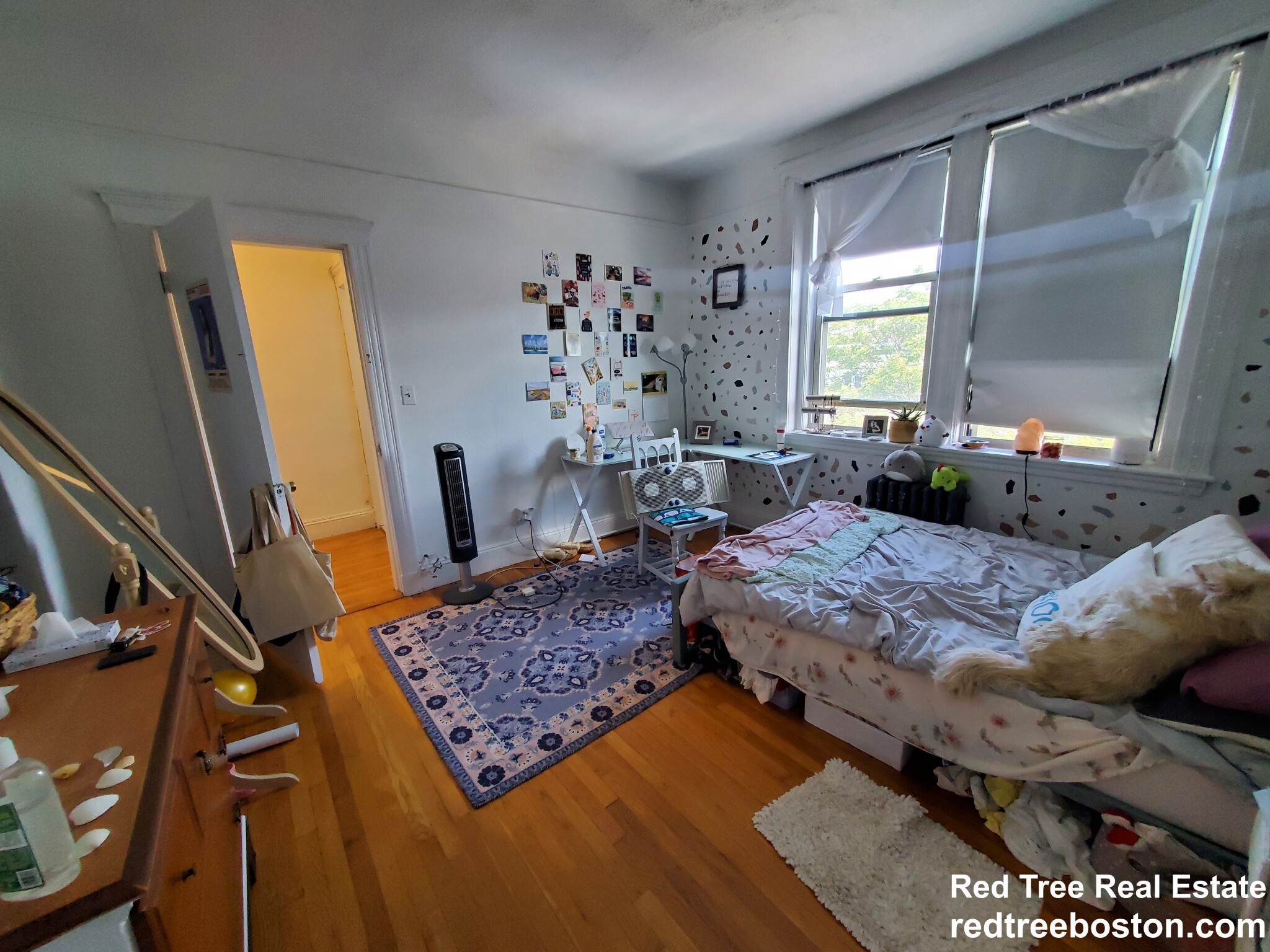 20 Colborne Rd, Brighton