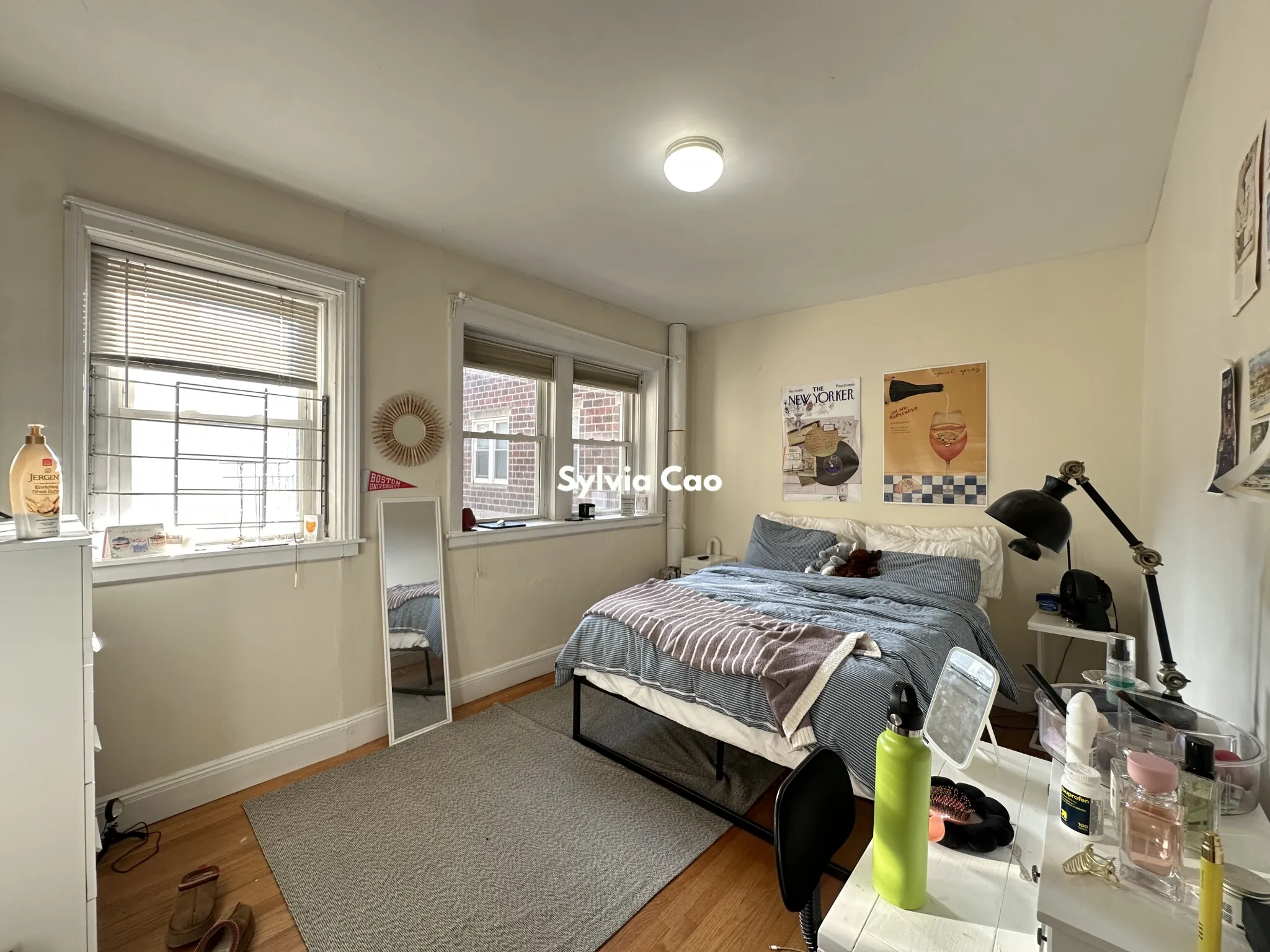 54 Egmont St, North Brookline