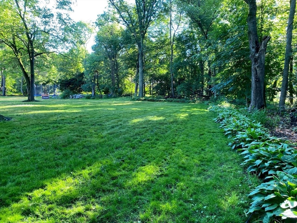 15 Winchester Dr, Lexington