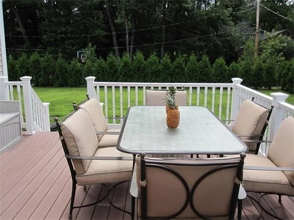 15 Orchid, Littleton