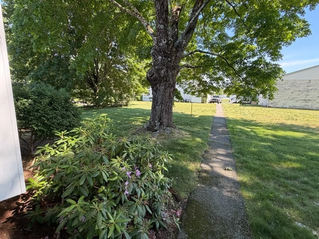 343 Bay Rd, Sharon