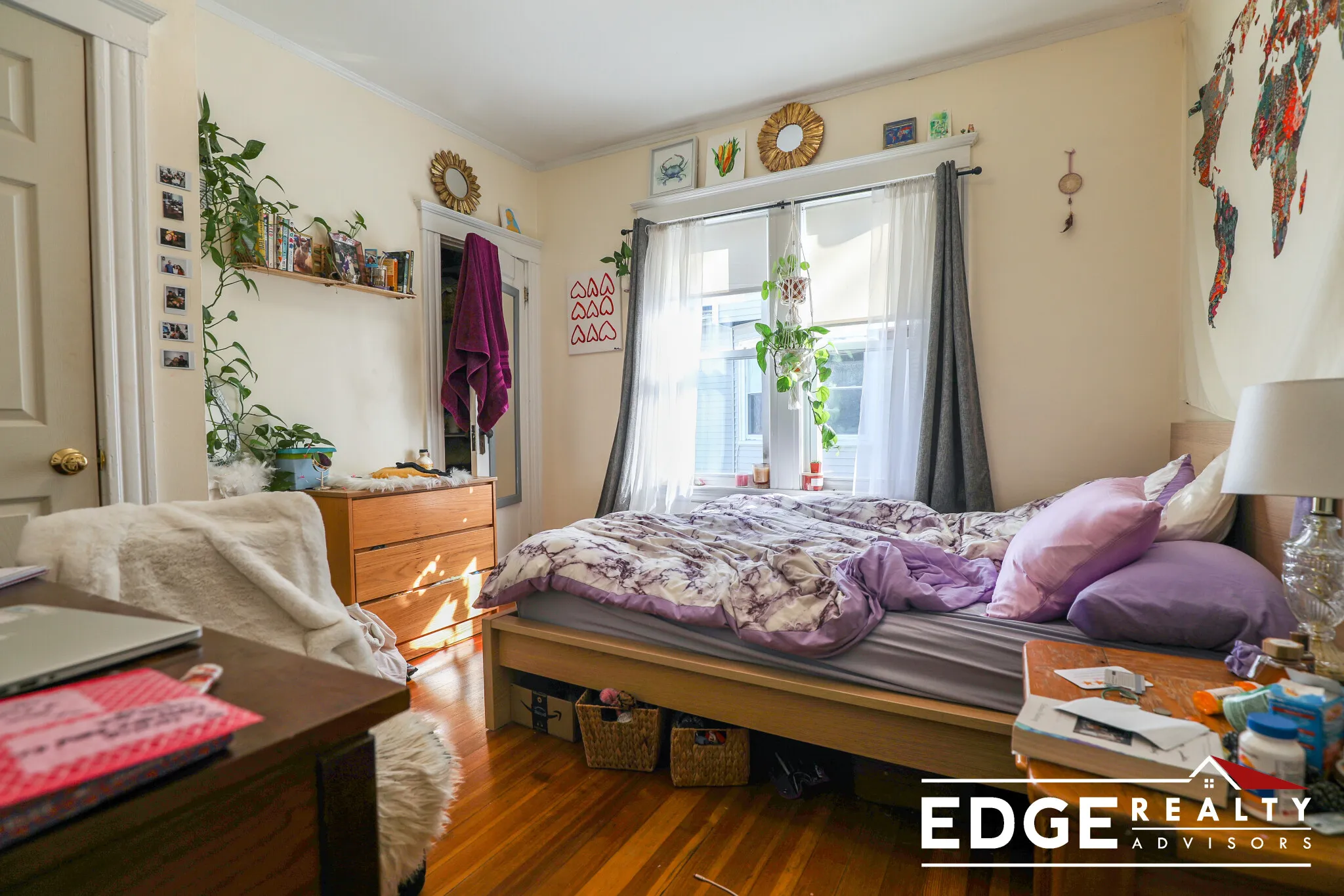 7 Greylock Rd, Brighton