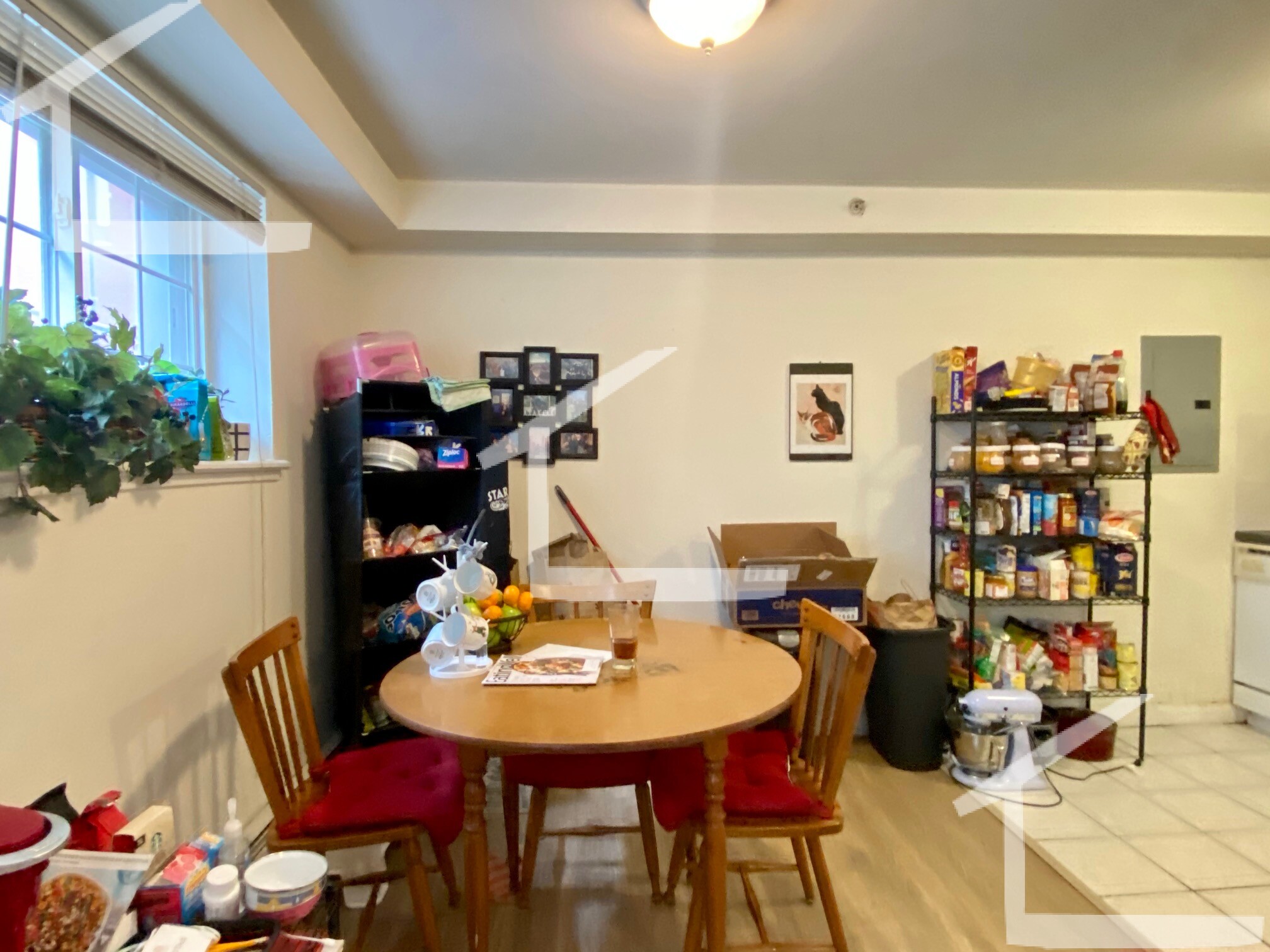 8 Griggs St, Brighton