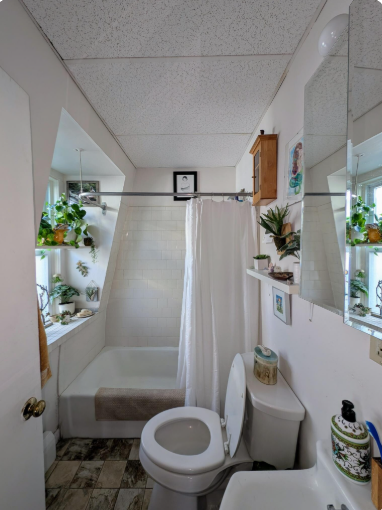 379 Windsor St, Wellington-Harrington