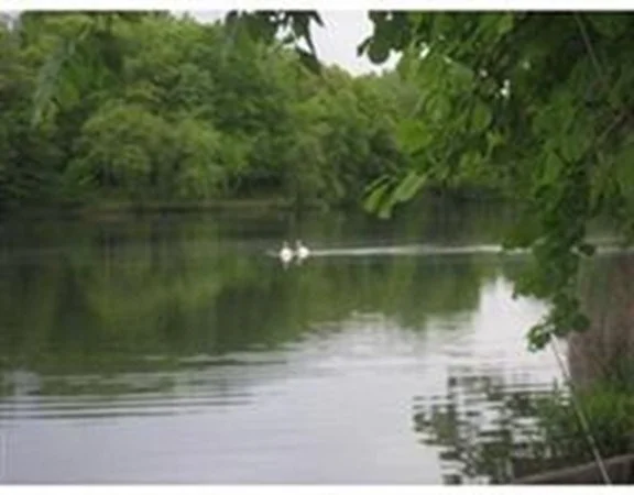 99 Pond Ave, Brookline Village