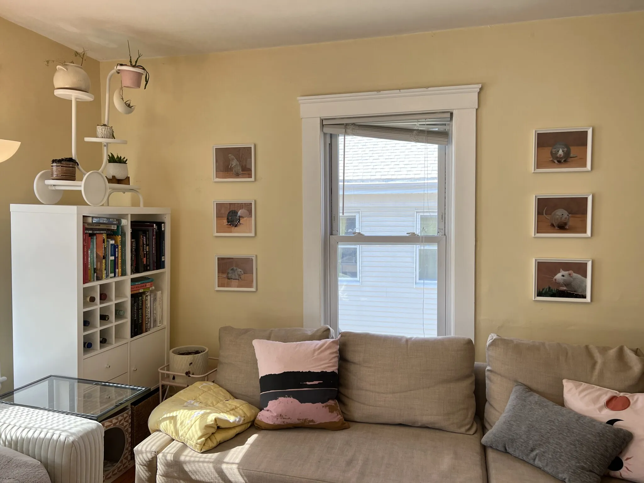 7 Craigie Ter, Spring Hill