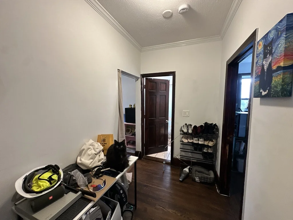 435 Walnut Ave, Roxbury