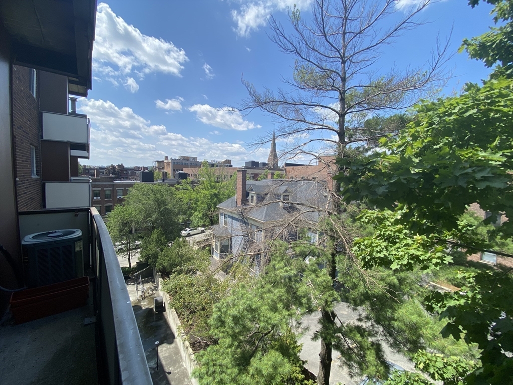 20 Stearns Rd, Coolidge Corner