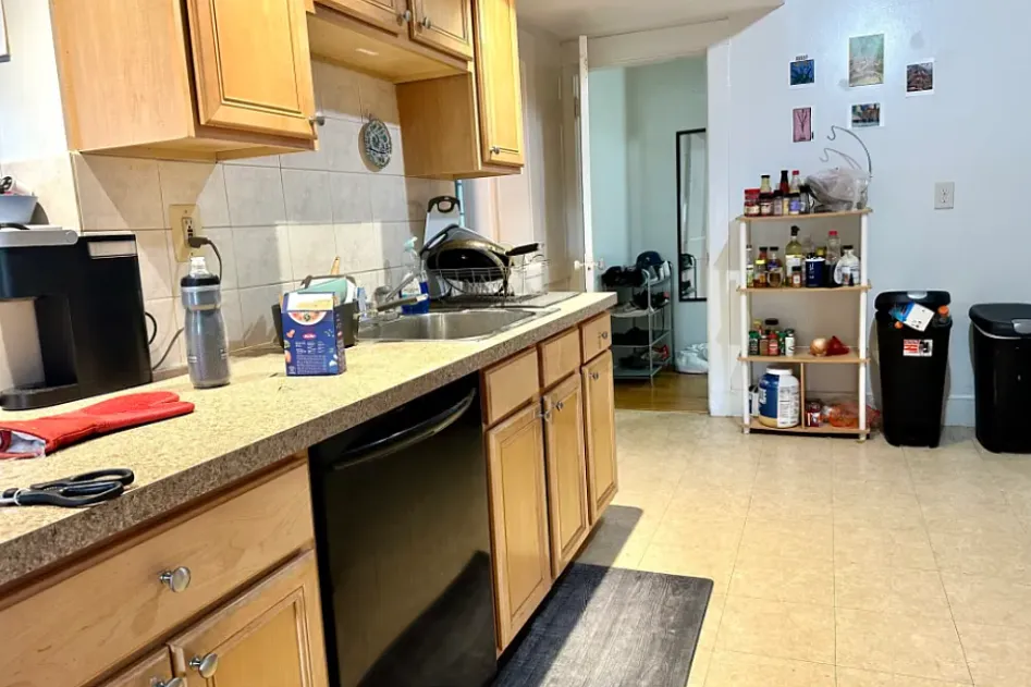 225 Summer St, Spring Hill