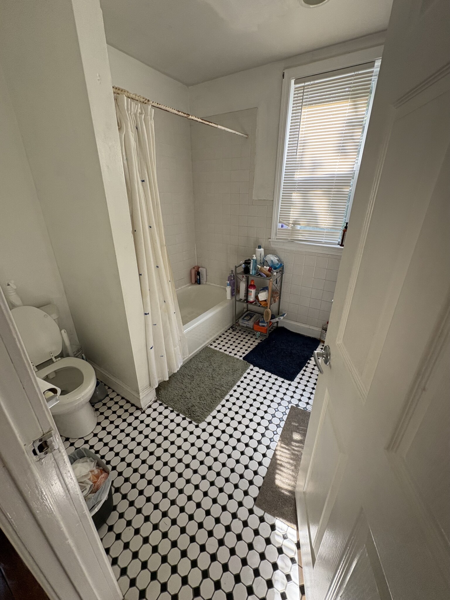 22 Fisher Ave, Mission Hill