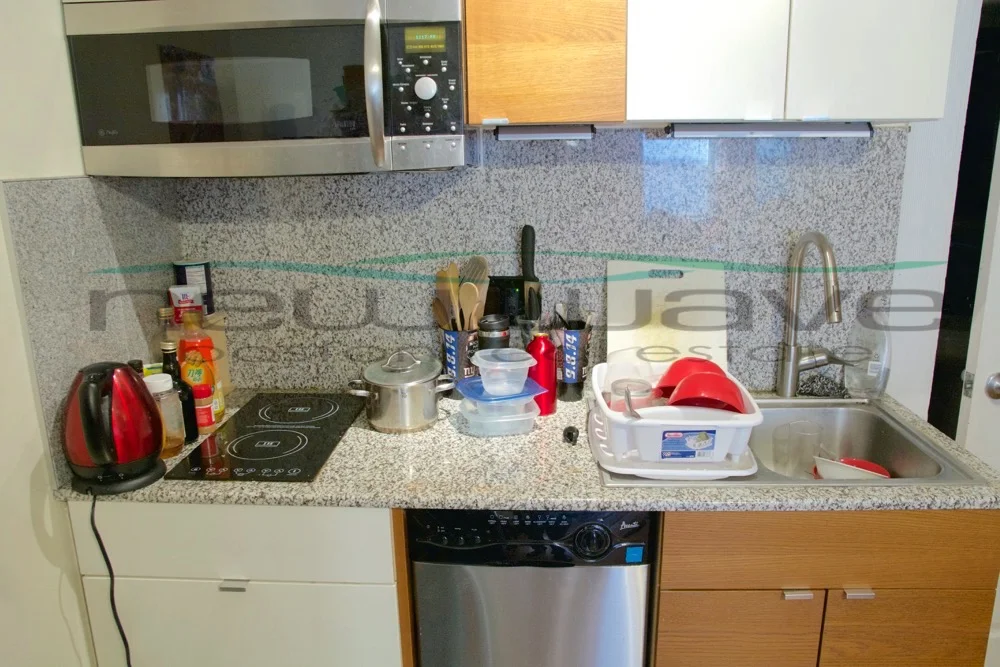 55 Saint Stephen St, Fenway