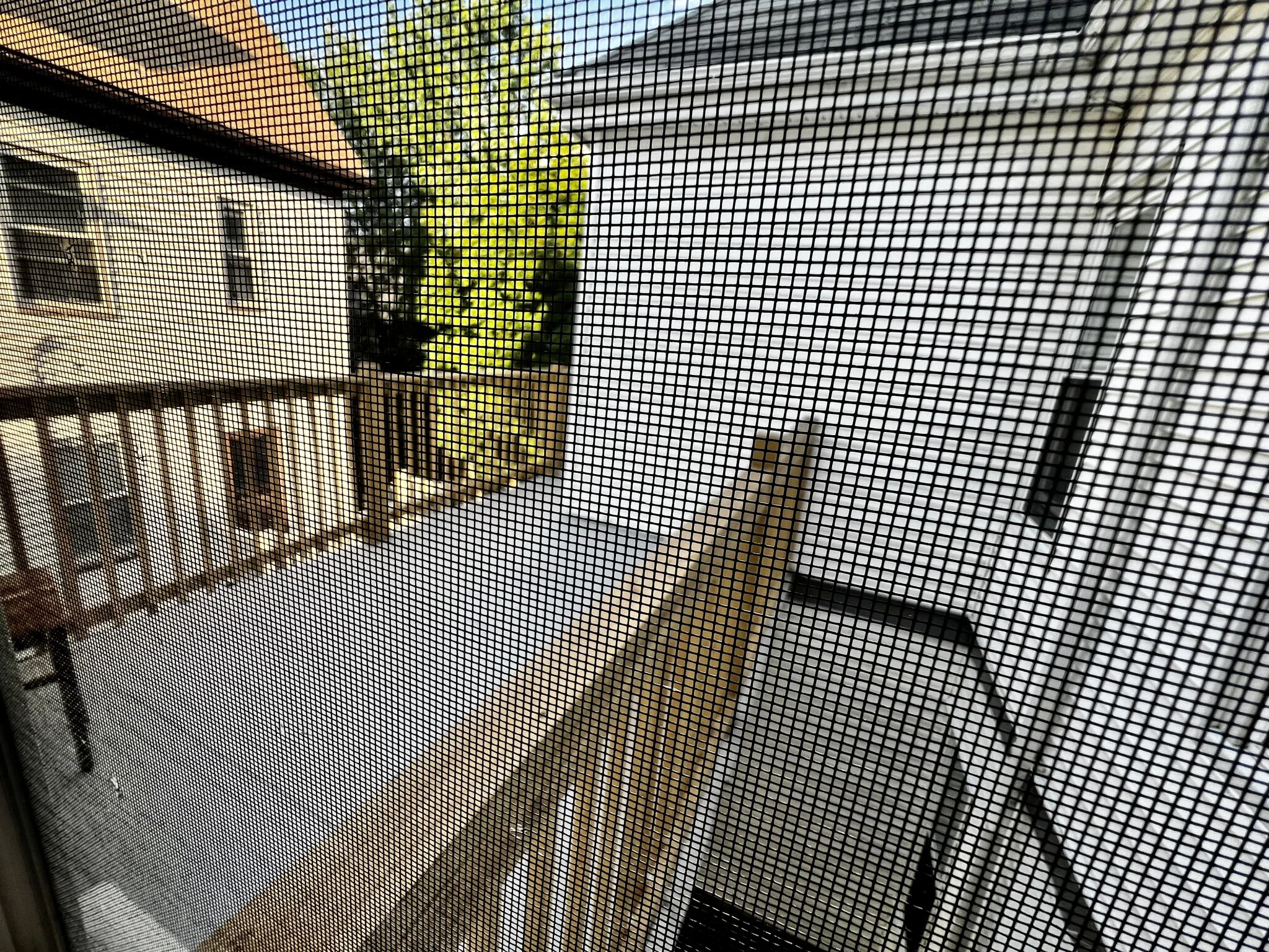 63 Sycamore St, Winter Hill