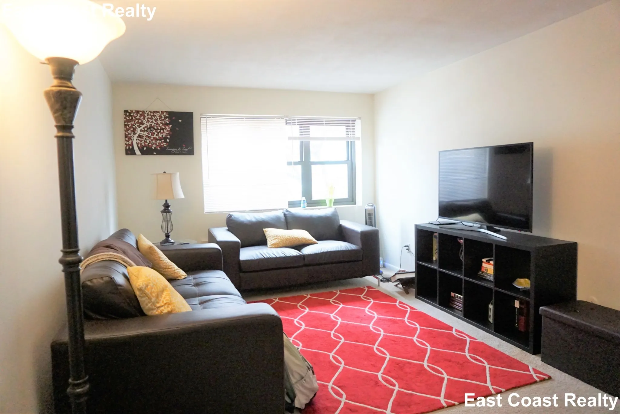 39 Shepard St, Brighton