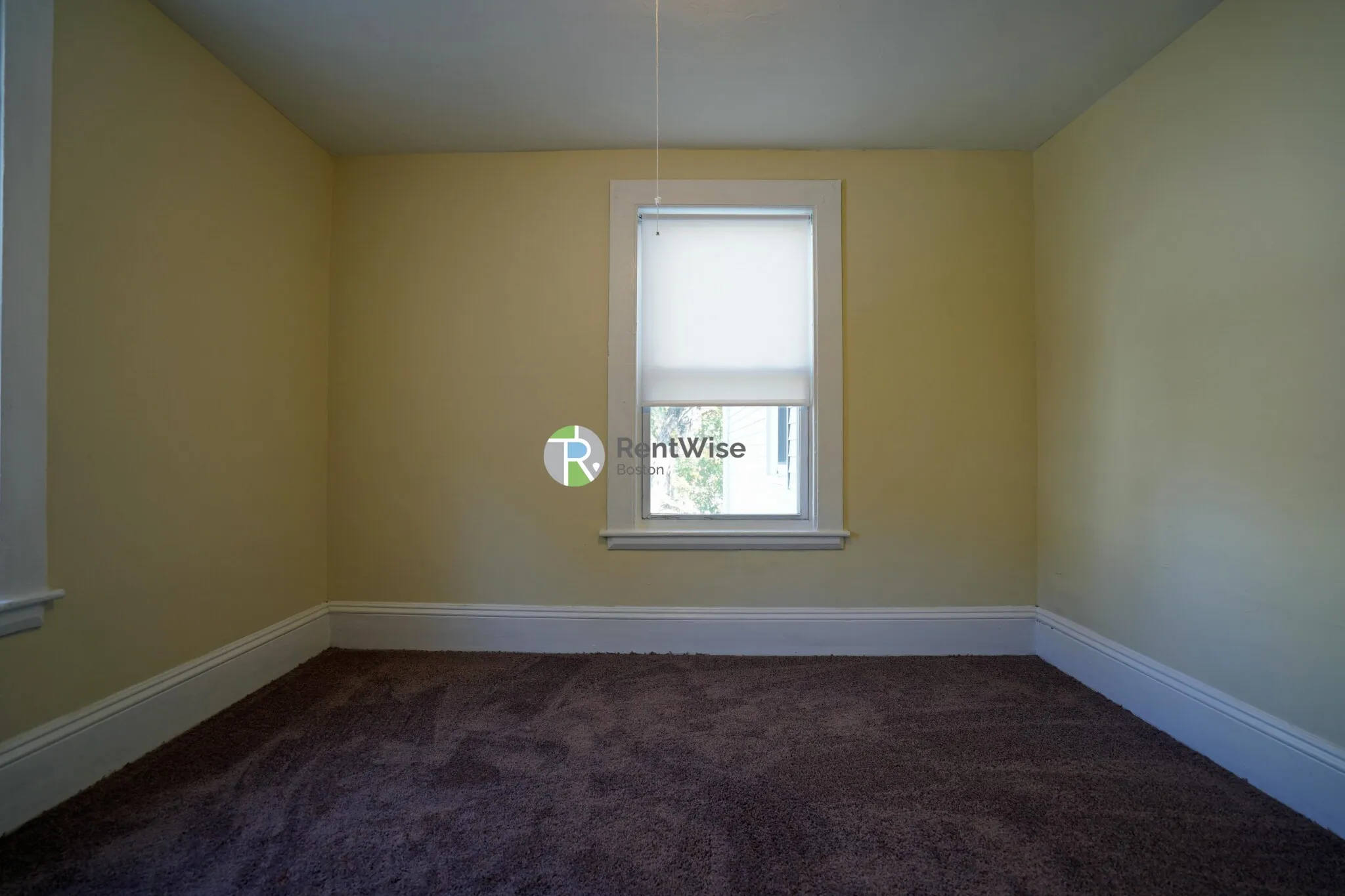 22 Greylock Rd, Brighton