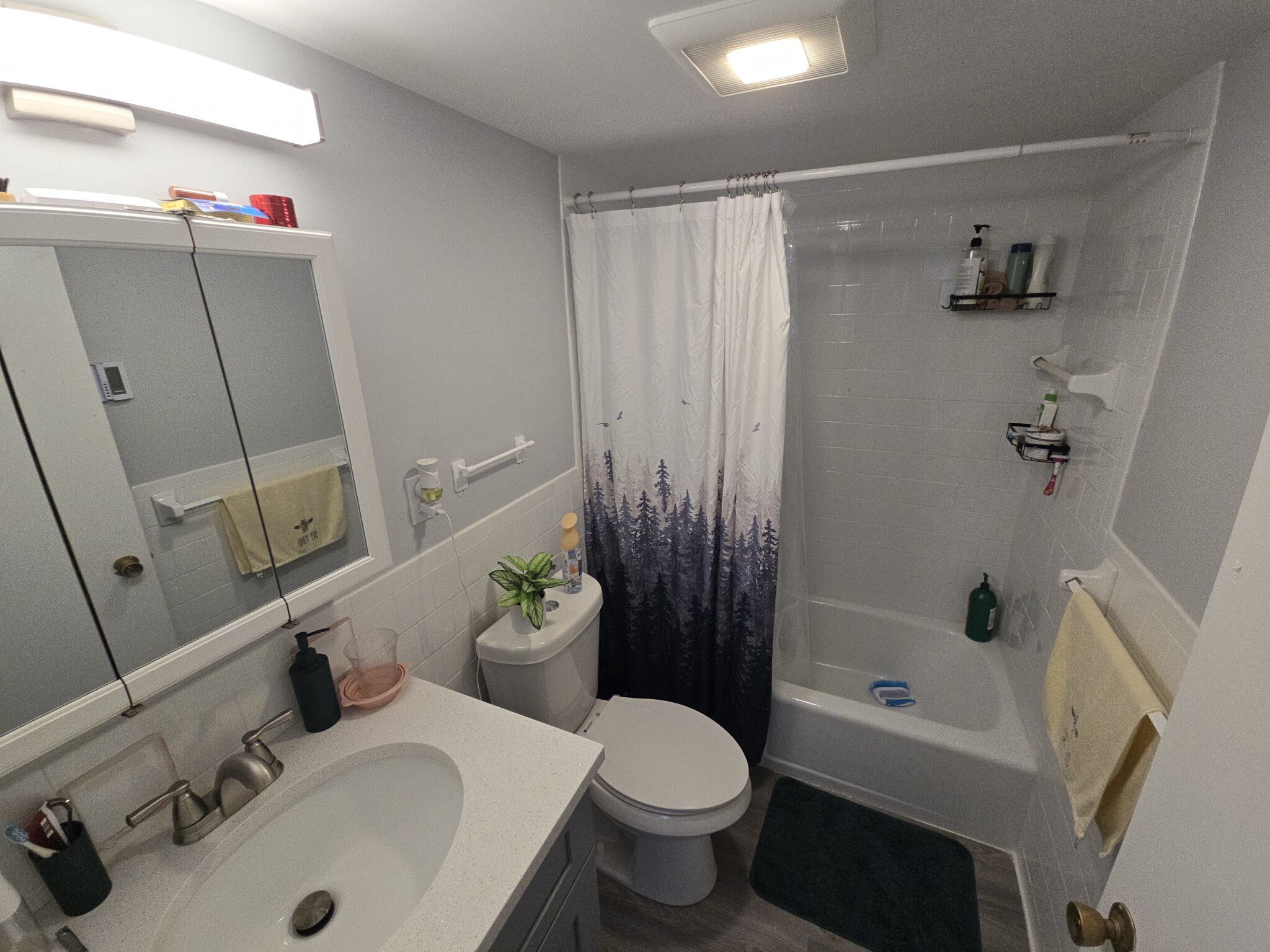 530 Vfw Pkwy, West Roxbury