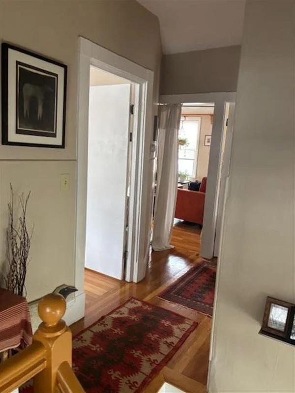 14 Virginia St, Winter Hill