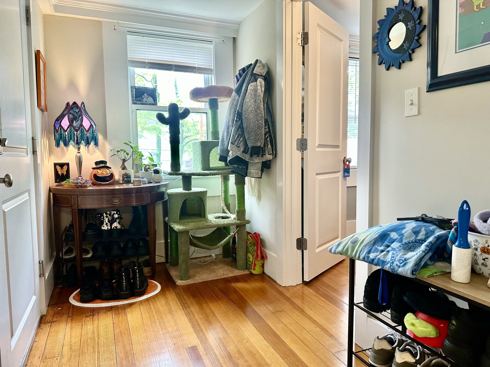 11 Forrester St, Salem