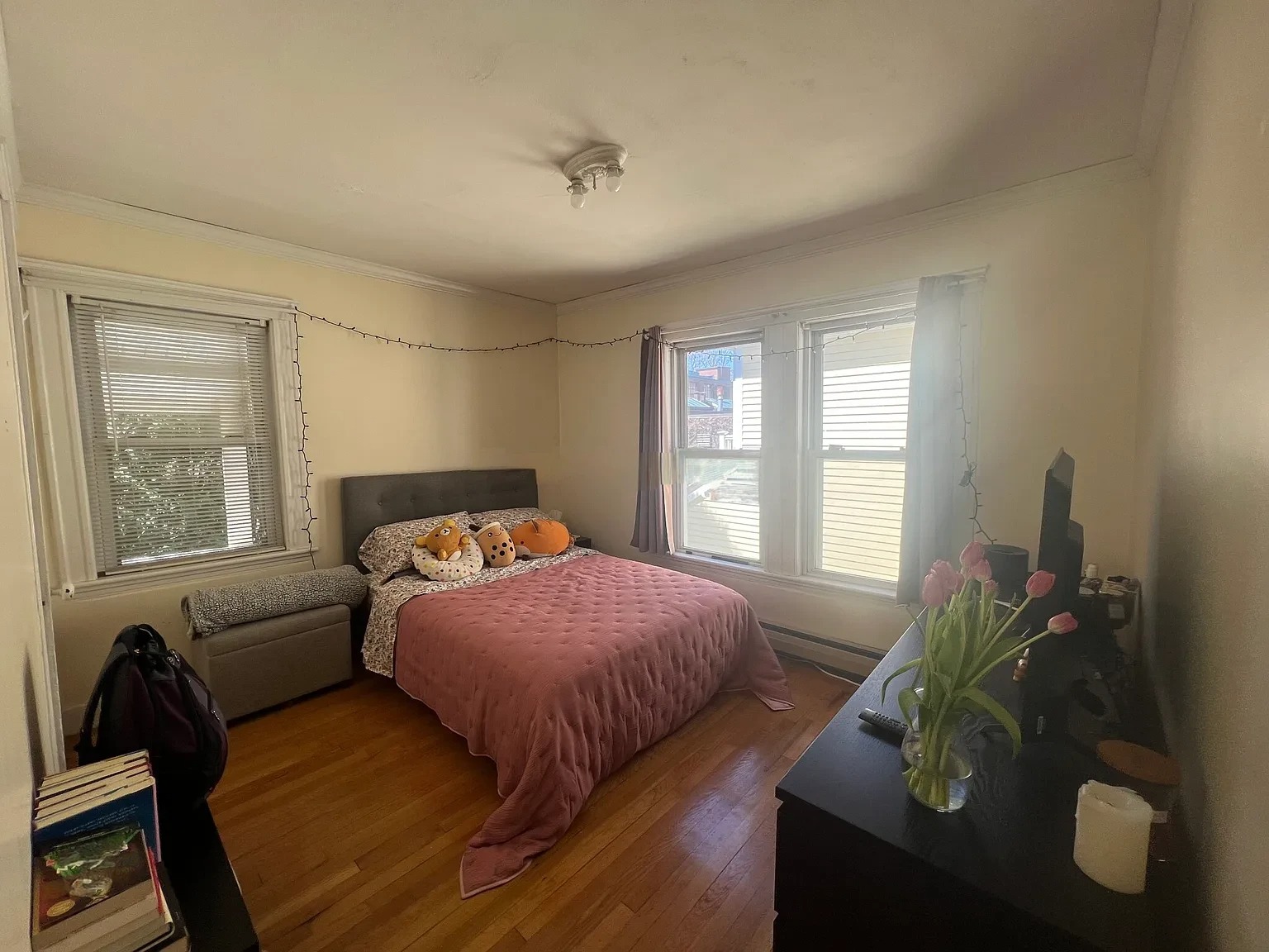 33 Winslow Ave, Davis Square