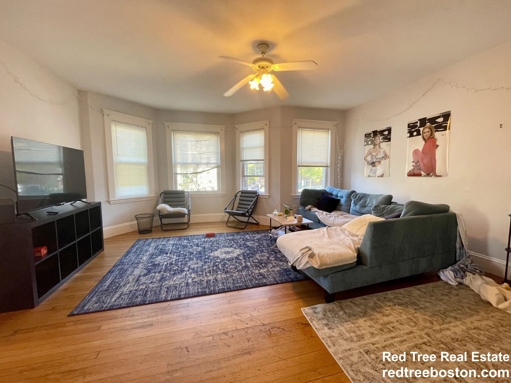 209 Chestnut Hill Ave, Brighton