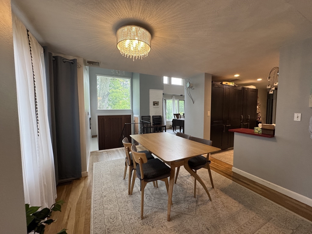 45 Dexter Rd, Newtonville