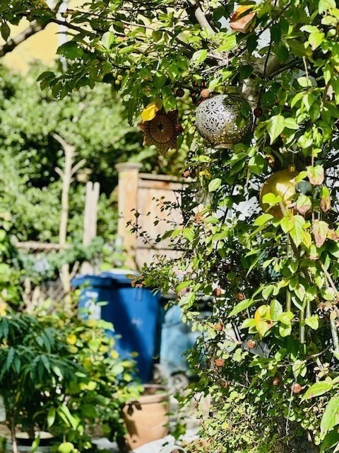 15 Gordon St, Jamaica Plain