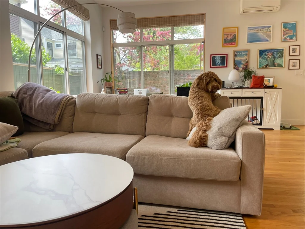 39-41 Dana St, Mid-Cambridge