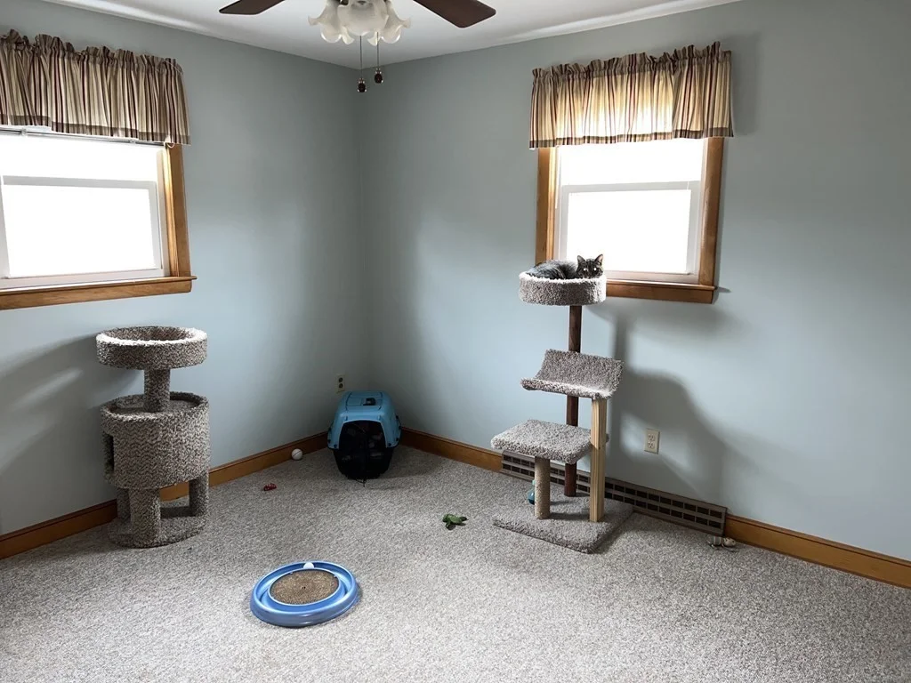 39 Mill Rd, Chelmsford