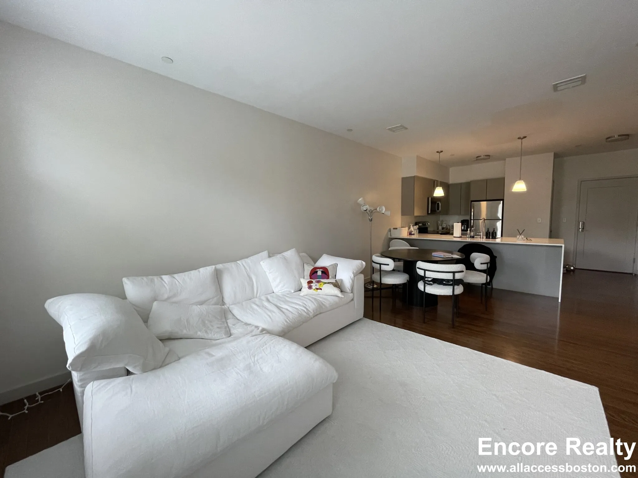 455 Harvard St, North Brookline