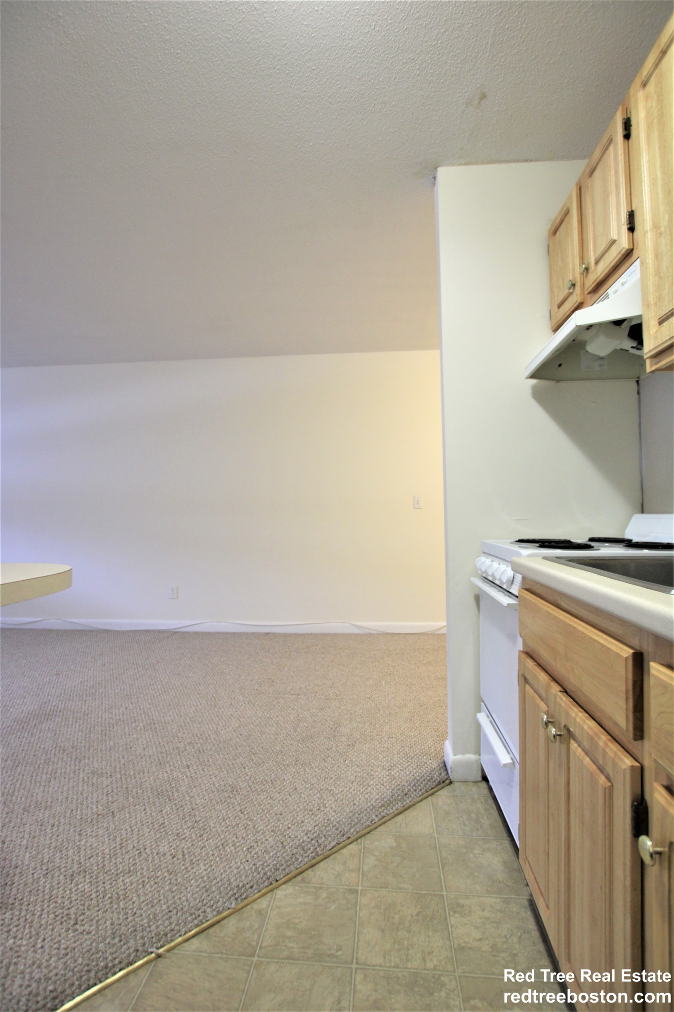 66 Homer Ave, West Cambridge