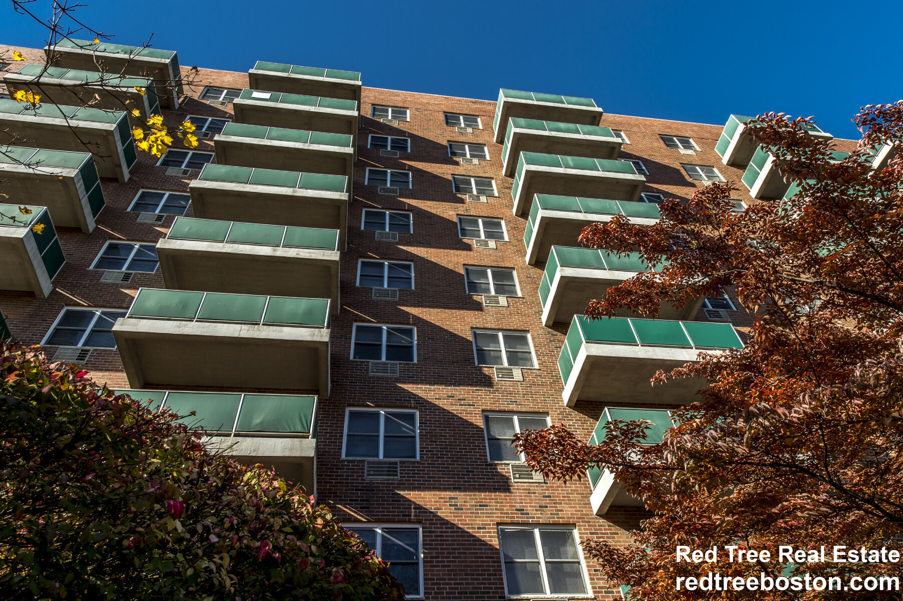 185 Freeman St, North Brookline