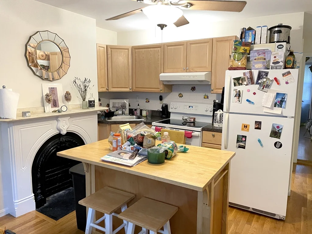 81 E Brookline St, South End