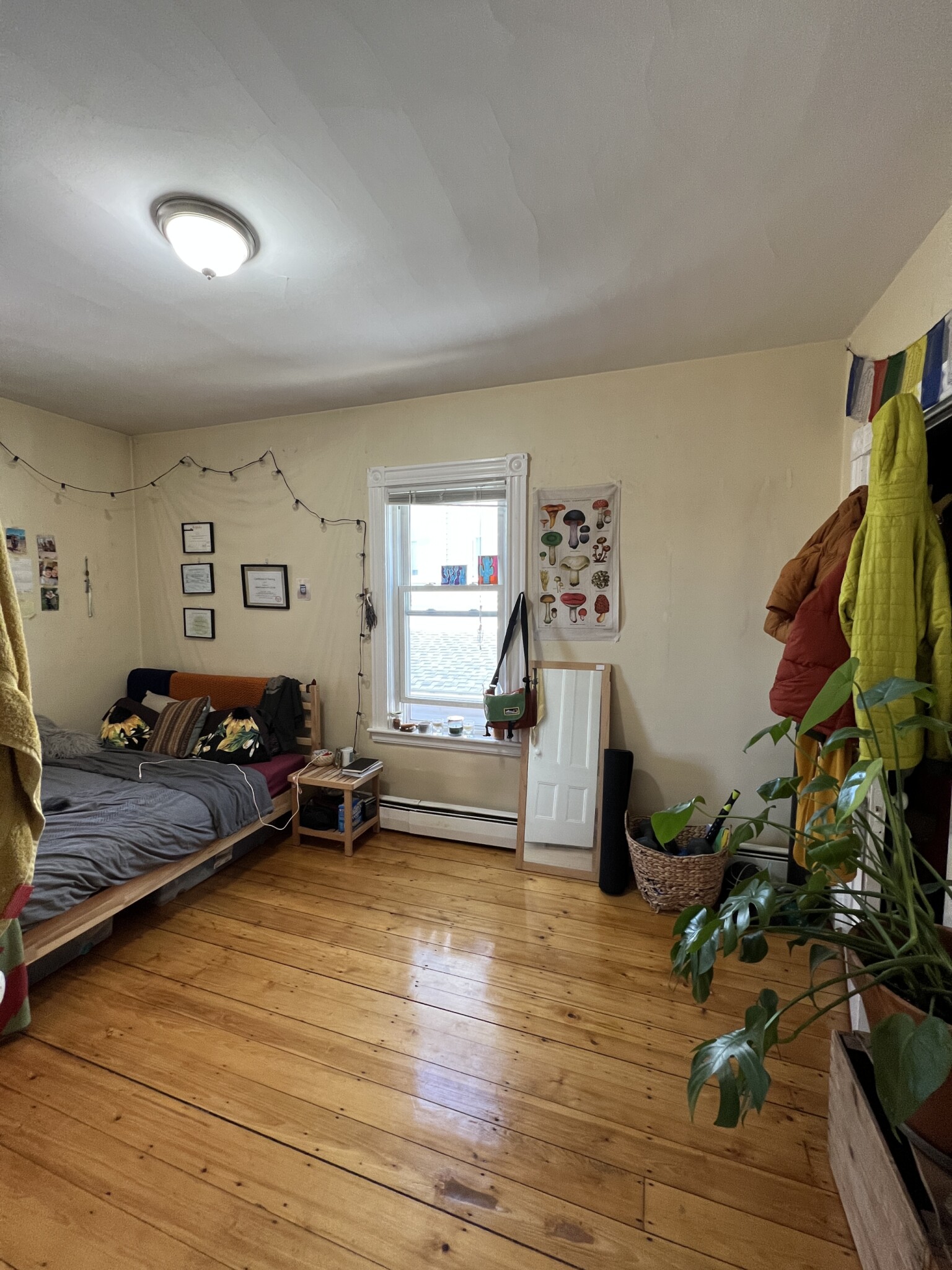 2 Gilson Ter, Spring Hill