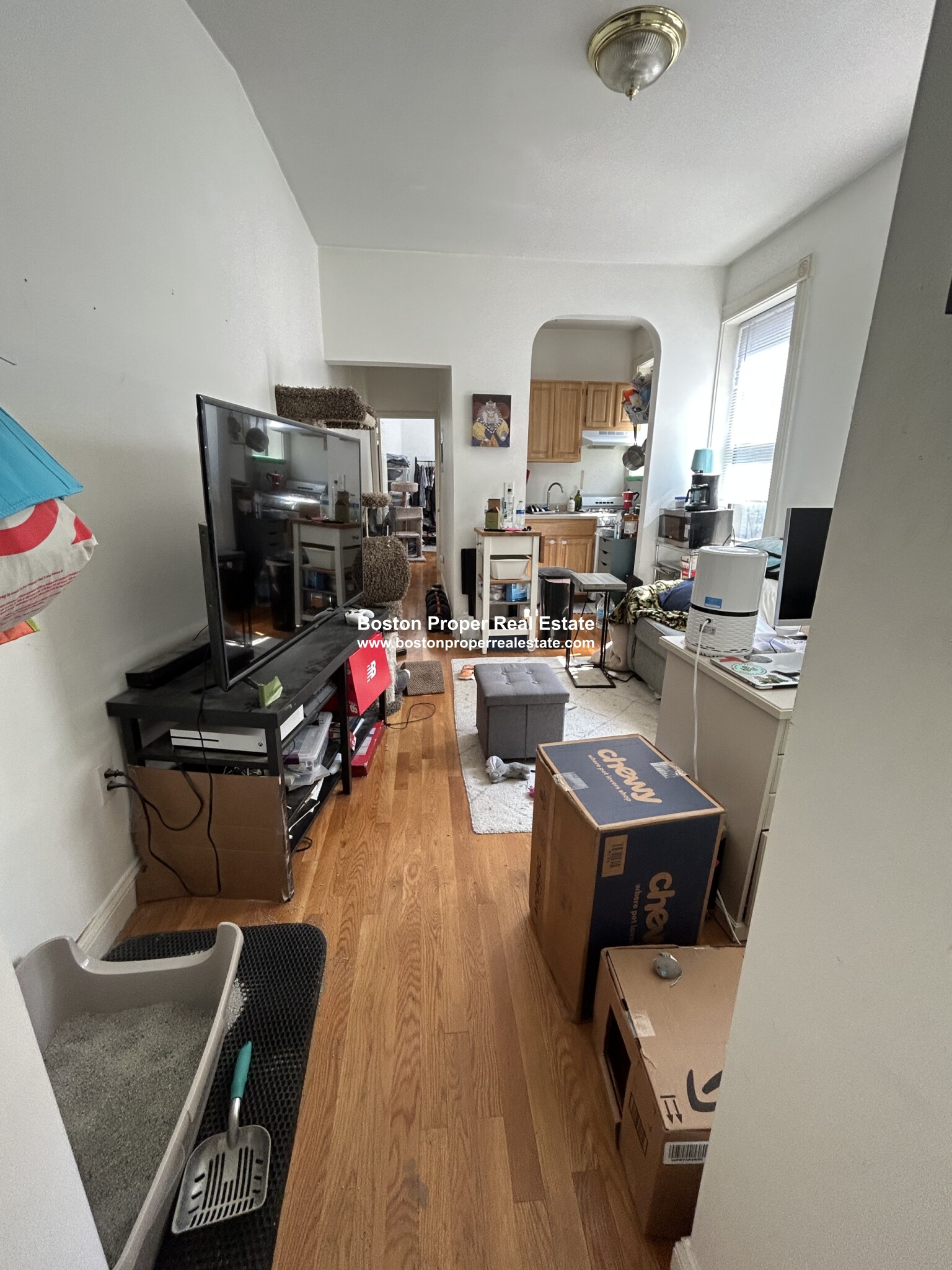 24 Phillips St, Beacon Hill