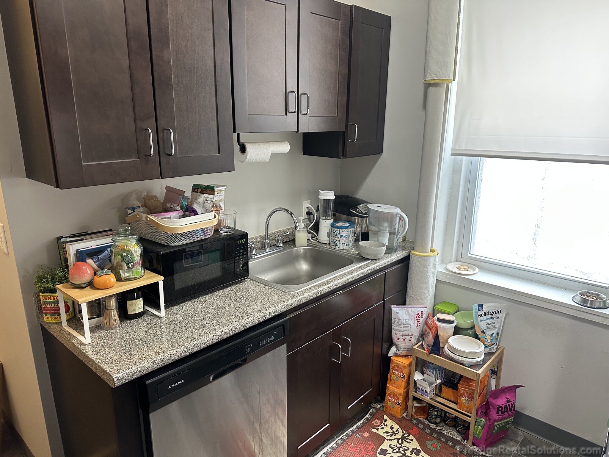 159 Kelton St, Brighton