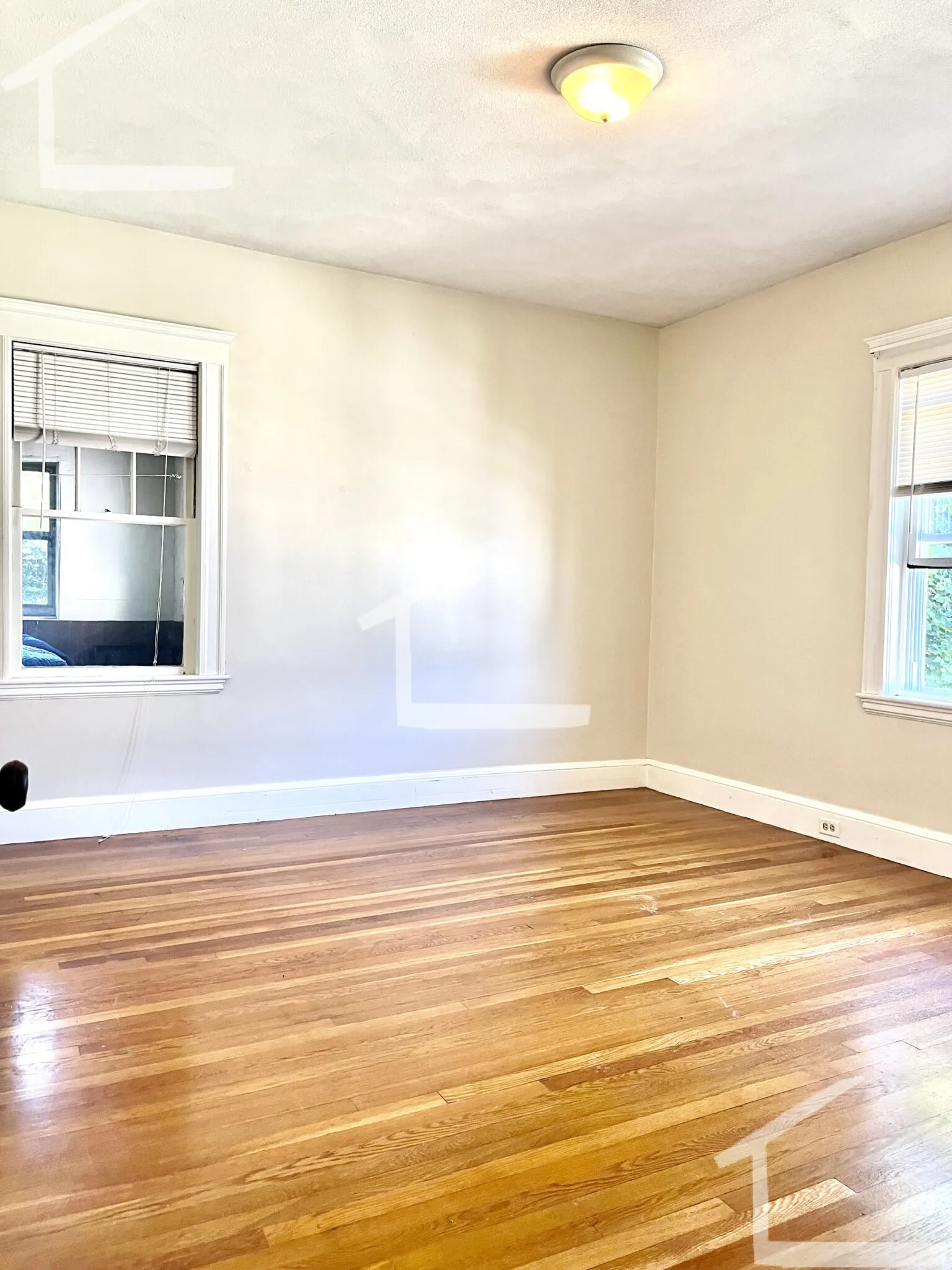 41 North Crescent Circuit, Brighton